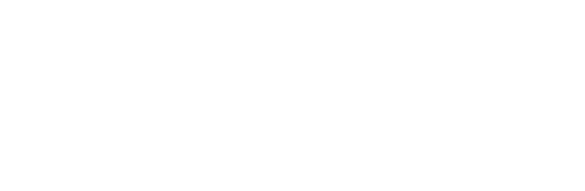 Palmedica